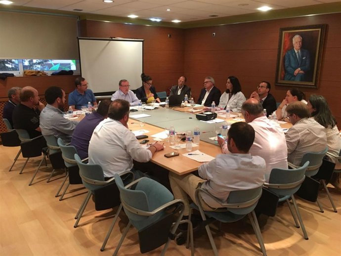 Reunión del consejero de Sanidad con los alcaldes del Oriente. 