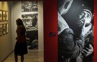 'Los Desastres de la Guerra' en la Casa Lis recibe 33.455 visitantes