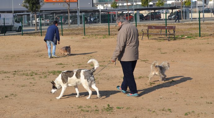 Ciutadans passejant gossos a Reus (Tarragona)