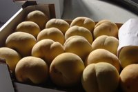 Olona reconoce que aumentar el cupo de retirada de fruta en 20.000 toneladas es "un objetivo difícil"