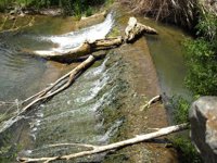 Las Aulas del Río de CyL brindan la posibilidad de practicar la pesca ecológica