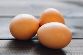 Foto: Retirada en Cataluña una partida de huevos con fipronil procedentes de los Países Bajos que no se han comercializado