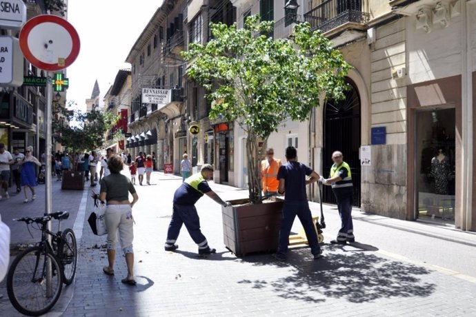 Operarios instalan jardineras en Palma tras los atentados en Cataluña