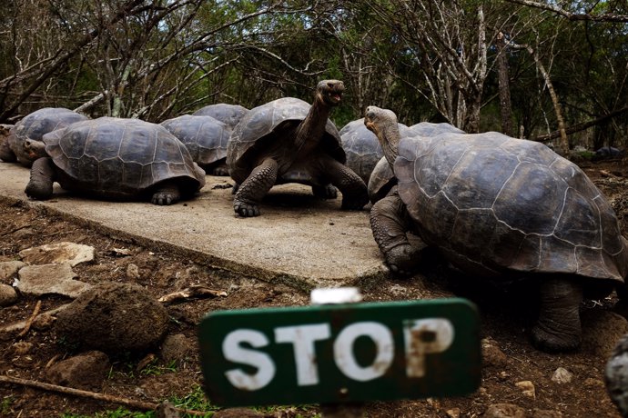 Islas Galápagos