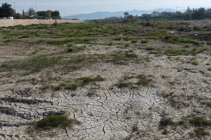 Imagen de archivo que muestra un campo seco