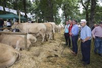 Revilla asiste al Día de Soba en el Monte de San Pedro