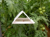 El Gobierno de Aragón destina más de dos millones de euros a apoyar la innovación y la cooperación agroambiental