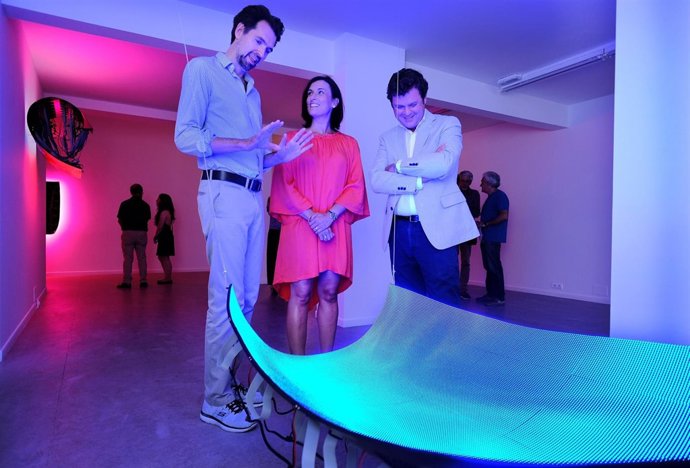 Canogar expone 'Resonancias' en la galería Juan Silió