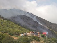 Estabilizado el incendio forestal declarado en El Higuerón de Mijas