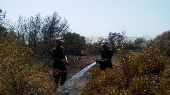 Zona de matorral afectada en el incendio de Puerto Real.