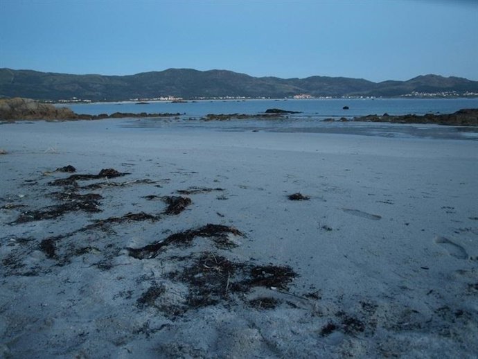 Platja de la Corunya