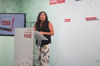 PSOE-A muestra su repulsa a actos "deleznables" de "radicales" contra mezquitas