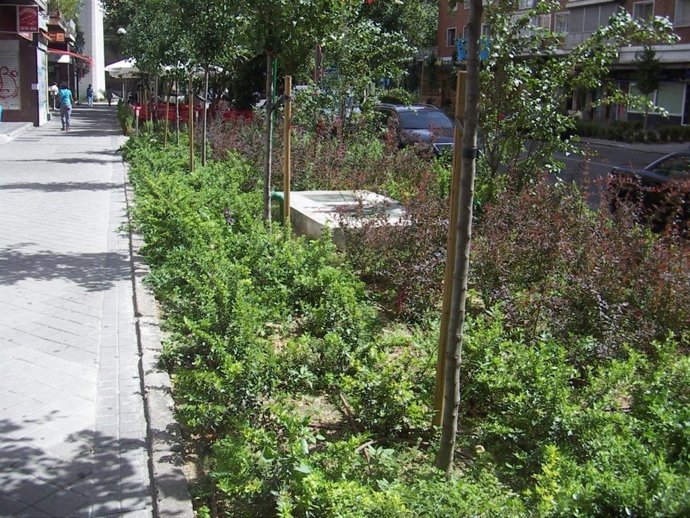 Zonas verdes del parque de las Avenidas