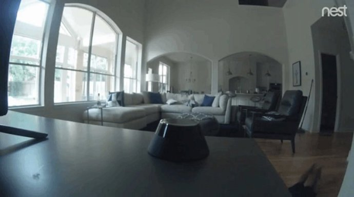 Nest cam