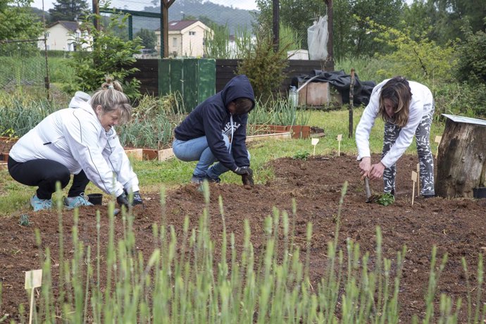 Jardin de mariposas en las huertas municipales 