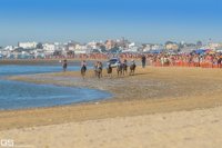 La Sociedad de Carreras de Caballos de Sanlúcar, Cádiz, hace un "balance muy positivo" de la temporada de 2017