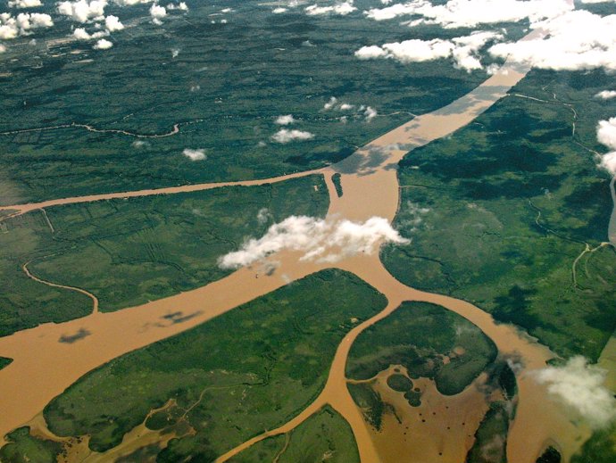 Delta del Paraná