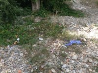 UPN pide que el Ayuntamiento de Pamplona tome medidas para "acabar con la suciedad en el entorno del río Arga"