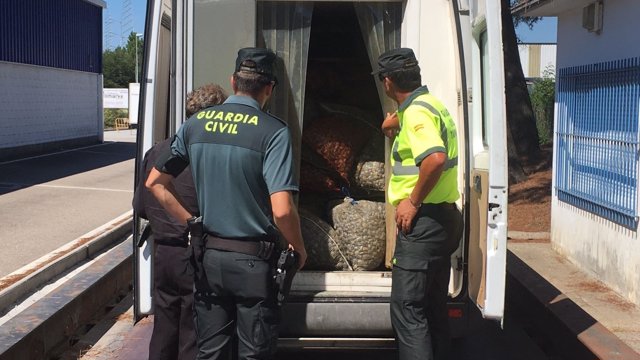 Interceptada en O Porriño una furgoneta con más de 4 toneladas de almeja.