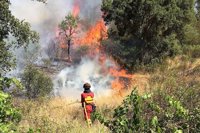 Incendios.- España ha enviado hasta 651 militares a Portugal para luchar contra los incendios de este verano
