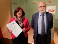 El PSOE pide que el testimonio del hijo mayor de Juana Rivas sea tenido en cuenta