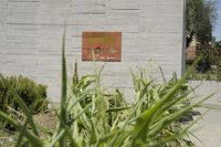 El Ayuntamiento de Madrid organiza talleres en huertos urbanos para promover hábitos de alimentación saludables 