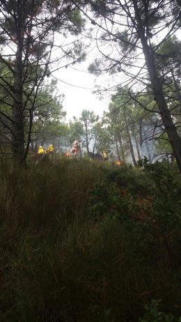 Incendi forestal