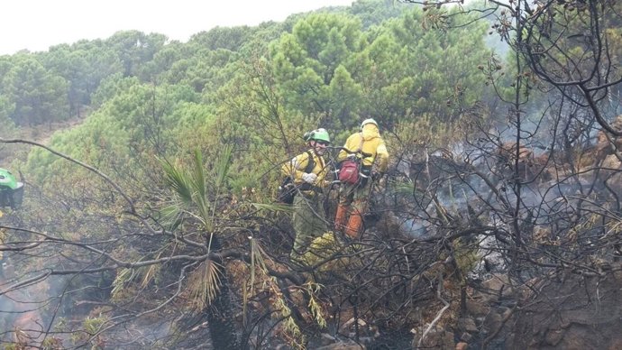 Incendio forestal benahavís málaga 20 agosto 2017 fuego infoca