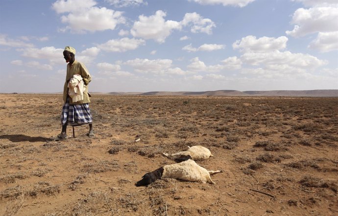 Sequía en Somalilandia 