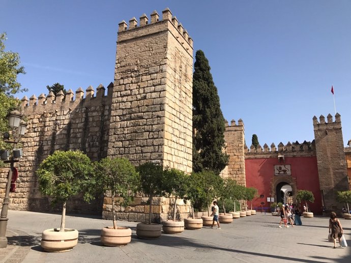 Maceteros de gran tamaño instalados en la cola de los Reales Alcázares