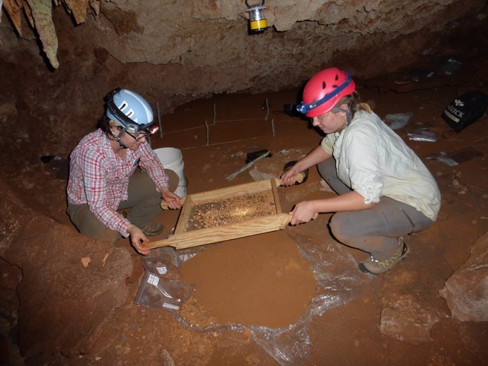 Paleontólogos colectan fósiles en una cueva del Caribe