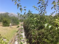 El PP de Selva exige al equipo de gobierno que presione a Medio Ambiente para la limpieza de los torrentes