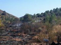 Bomberos del CEIS apagan un conato de incendio forestal en Almendricos (Lorca)