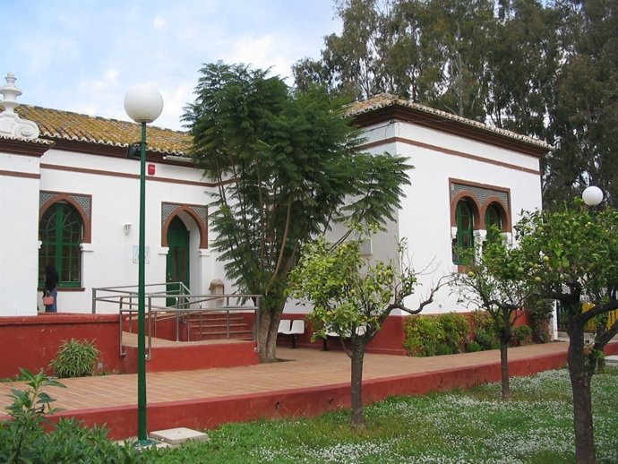 Np Salud Mental Infantil Y Juvenil Málaga