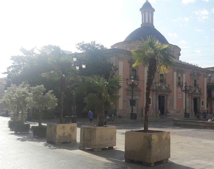 Maceteros en la Plaza de la Virgen