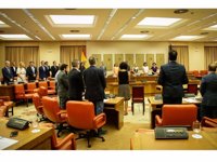 El Congreso agradece el trabajo de todos los cuerpos policiales frente al terrorismo