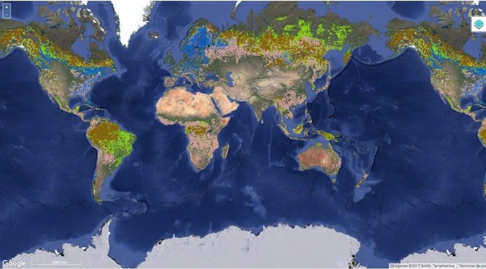 Mapa de bosques certificados