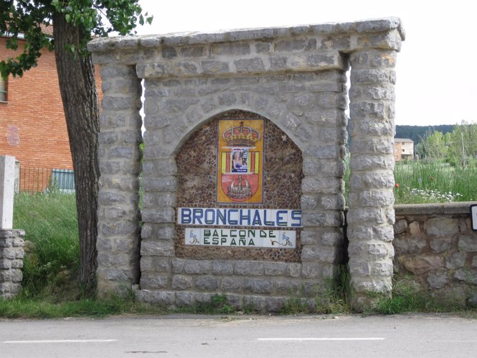 Bronchales