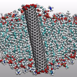 Small diameter carbon nanotube porin embedded in a lipid membrane