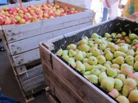 Los sindicatos agrarios insisten en retirar 40.000 toneladas de fruta  para descongestionar el mercado