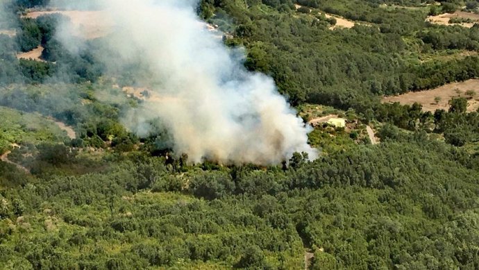 Conato de incendio en Breña Alta