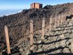 Sendero en la cumbre del Teide