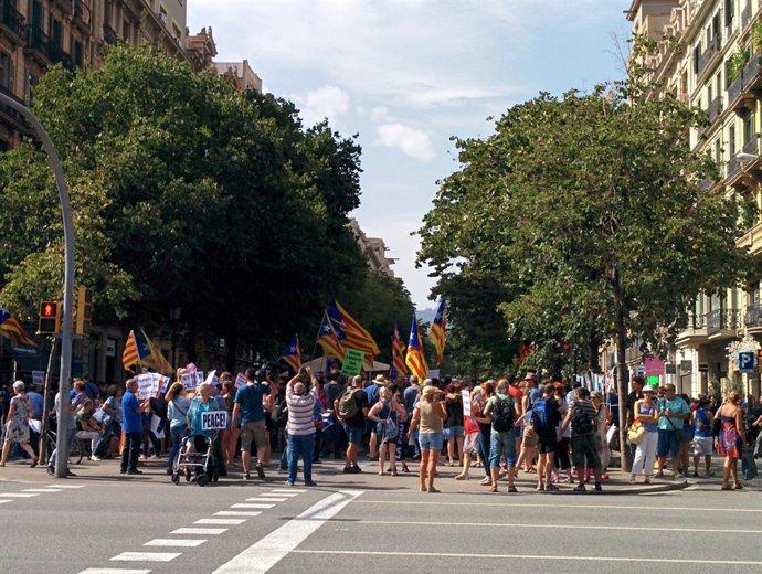 Manifestació alternativa a la gran marxa contra els atemptats a Catalunya