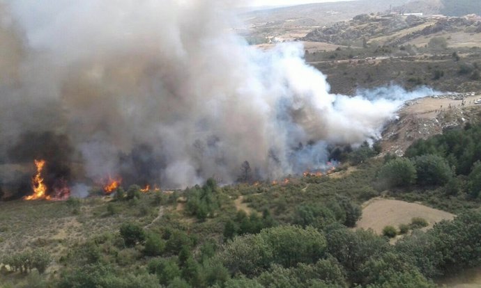 Incendio en el monte