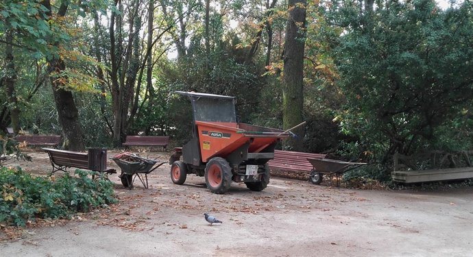 Trabajos en jardines de Valladolid. Campo Grande