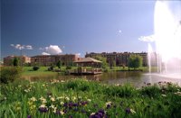 El cuidado de parques y jardines y la limpieza viaria son los servicios públicos mejor valorados en Pamplona