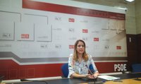 PSOE lamenta que los escritos del PP "solo pretenden generar ruido y controversia"