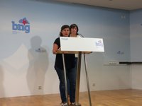 El BNG denunciará en la Comisión Europea y en la ONU la "impunidad" del franquismo en el Estado español 