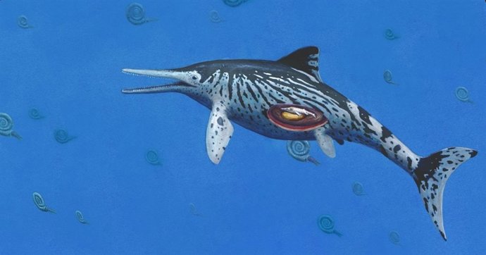 Artist impression of pregnant Ichthyosaurus
