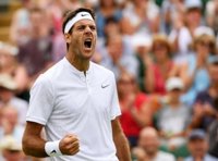 Juan Martín Del Potro, fuera de la Copa Davis ante Kazajistán